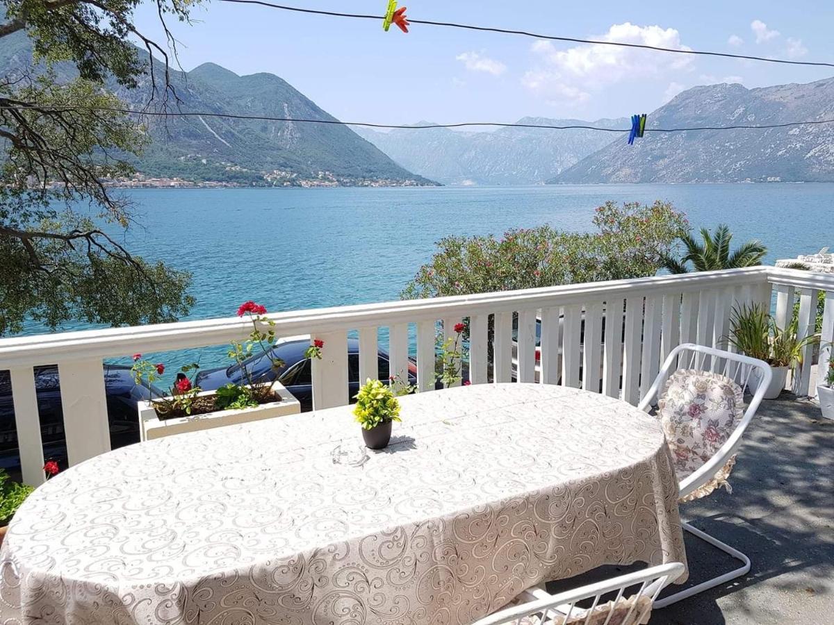 Montenegro Apartmant'S Kotor Zewnętrze zdjęcie