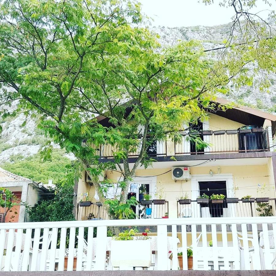 Montenegro Apartmant'S Kotor Zewnętrze zdjęcie