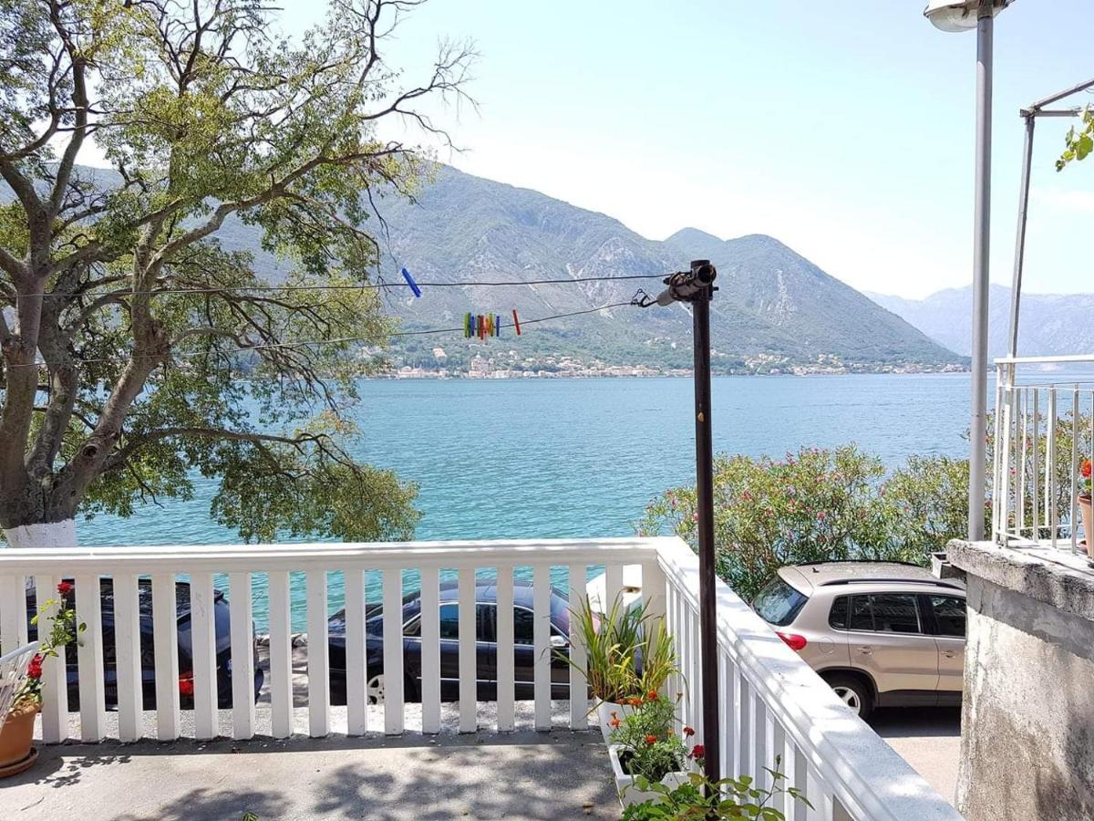 Montenegro Apartmant'S Kotor Zewnętrze zdjęcie